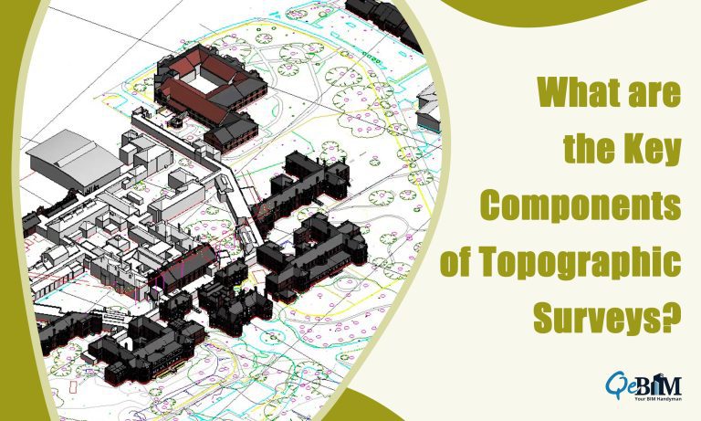 What are the Key Components of Topographic Surveys?